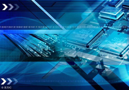 從入侵檢測技術劃分IDS的兩種主要類型